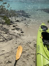 Kayak & SUP EcoTours in Turks and Caicos Islands