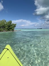 Kayak & SUP EcoTours in Turks and Caicos Islands