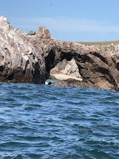 Islas Marietas Private Tour (Diving & Snorkeling) on a Center Console Boat!!