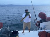 Découvrez les merveilles de Puerto Vallarta à bord d'un catamaran à voile de 38 minutes