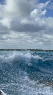 40' Luxury Searay Yacht at Punta Cana - Cap Cana Marina