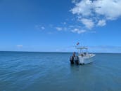 Incrível carta particular de mergulho com snorkel para os recifes de Rincon e da Ilha Desecheo