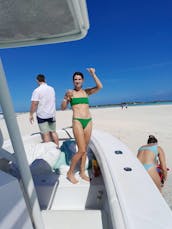 SUNFILL - EXCURSIONES DE UN DÍA COMPLETO ¡Natación privada con cerdos en Exuma! ¡Un sabor a paraíso