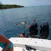 SUNFILL - EXCURSIONES DE UN DÍA COMPLETO ¡Natación privada con cerdos en Exuma! ¡Un sabor a paraíso