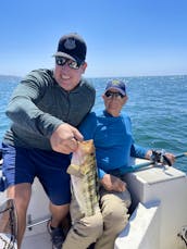 Bayliner Trophy 22ft Sport Fishing in La Jolla/ Mission Bay