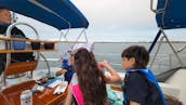 42ft Catalina MkII Sailing Yacht in The San Diego Bay, California