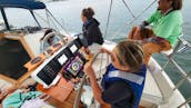 42ft Catalina MkII Sailing Yacht in The San Diego Bay, California