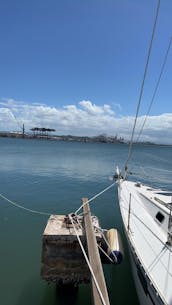 Private San Juan Bay Cruise 37' Sailboat