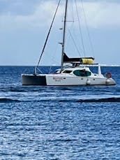 Private Catamaran Charter to Passion Island, Cozumel!