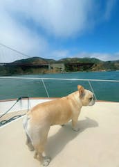 Yate clásico de San Francisco 