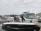 Alugue Bayliner Bowrider em Seattle, Washington para 9 pessoas *Combustível incluído*