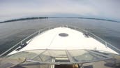 38’ Regal cruising yacht 🛥 Seattle