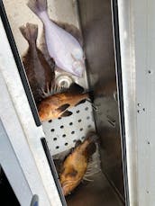 Go Fishing on 22' Hewescraft Pro V 200 Fishing Boat in Seward, Alaska