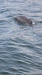Cruise to Crab Island on a private tour