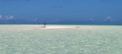 Spanish Wells, Isla Eleuthera Harbour, cerdos nadadores, rayas, columpios, tortugas 