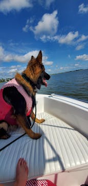 Fishing 🐠 and Entertainment 🍾 Center Console Boat St. Augustine