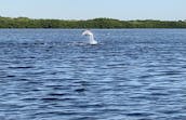 Wonderful Water Day in St. Petersburg, Florida