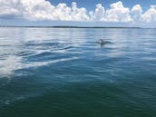 Wonderful Water Day in St. Petersburg, Florida