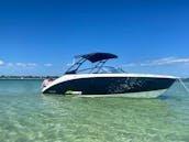 New Yamaha AR250 Bowrider Boat in St. Petersburg, Florida