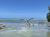 Lets go boating like a local Sandbar hangout/ Island Hopping/ Paddle-boarding