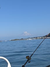 21' Boston Whaler à louer à Tacoma