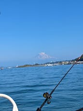 21' Boston Whaler for rent in Tacoma