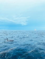 Pêche et aventures à Tamarindo, Province de Guanacaste