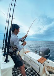 Pêche et aventures à Tamarindo, Province de Guanacaste