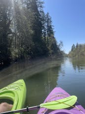 Aluguel de caiaques ou pranchas de remo em Tigard, Oregon