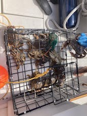 Découvrez la beauté côtière de Vancouver à bord d'un yacht Sea Ray Sundancer de 30 pieds