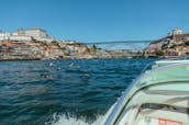 Sea Ray 220 Sun Sport Motor Yacht in Porto, Portugal ( Douro River)