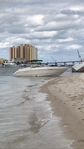 Bienvenido a bordo de la mejor experiencia de navegación en Palm Beach