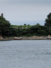 Alugue um barco de 36 pés em Westbrook, Connecticut