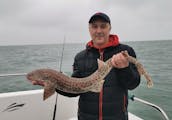 'Castle Maiden' Fishing Charter & Tours in Wicklow Town, Co. Wicklow, Ireland.