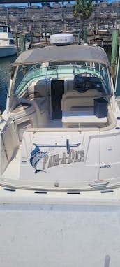 31ft Cabin Cruiser with Captain